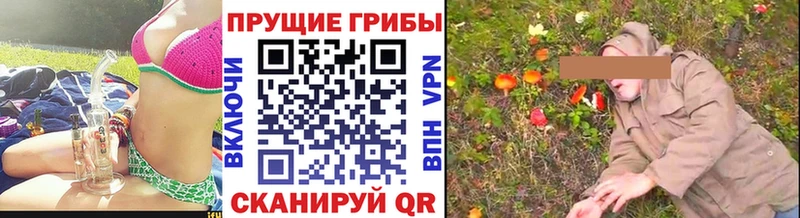 ссылка на мегу вход  Змеиногорск  Галлюциногенные грибы GOLDEN TEACHER 